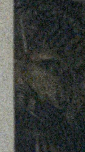 真のsss（シーゾーグムイ付近新川川流域にある御嶽）の写真