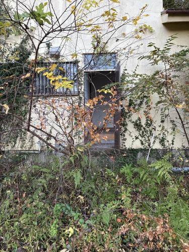 日吉台ホワイトハウスの画像