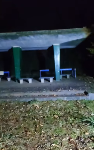 久良岐公園の写真