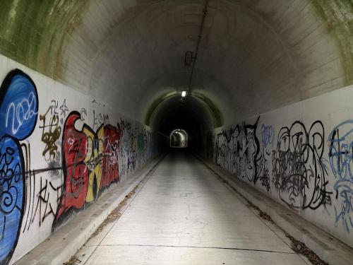犬鳴山トンネルの写真
