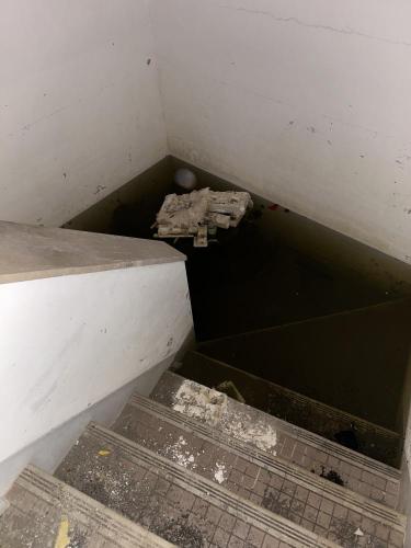 海風洋館プルメーリア(プルメリア)の写真