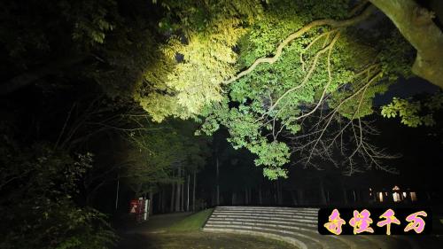 手賀の丘公園の写真