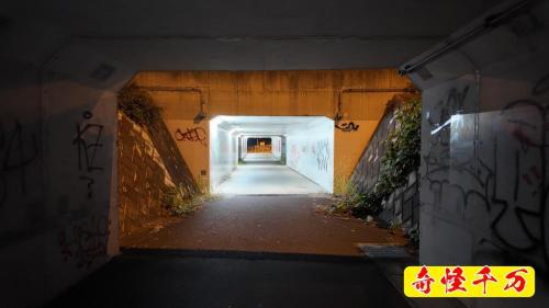 宮前JCT下のトンネルの写真