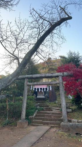 荒幡富士の写真