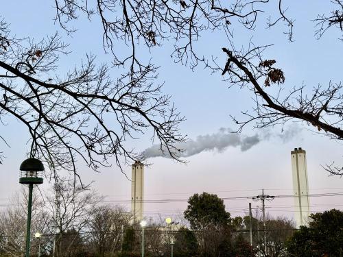 別府沼公園の写真