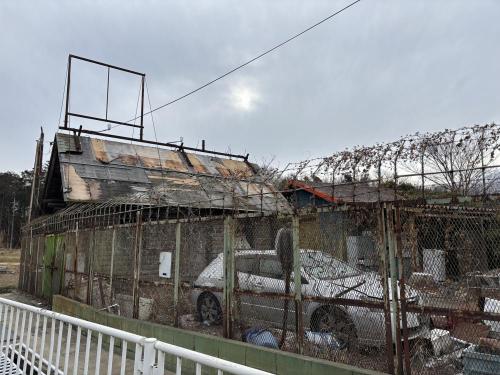 アフリカケンネルの写真