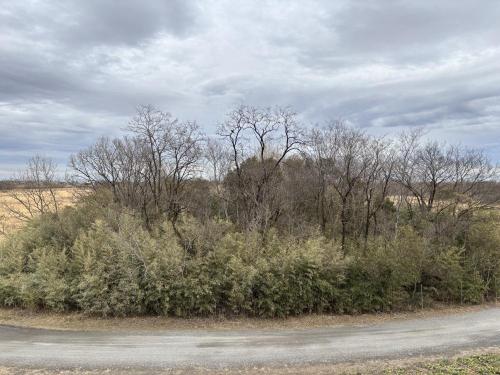 荒川の怪屋の画像 04