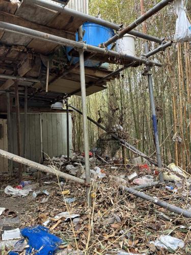 荒川の怪屋の画像 03