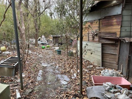 荒川の怪屋の画像