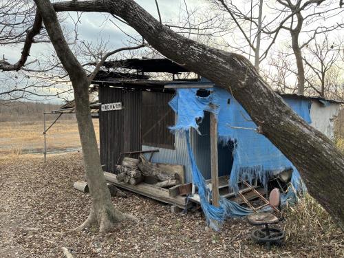 鵜対策監視所の画像 02