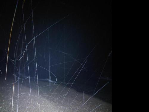 住吉海岸の写真