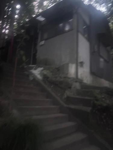 白高大神の写真