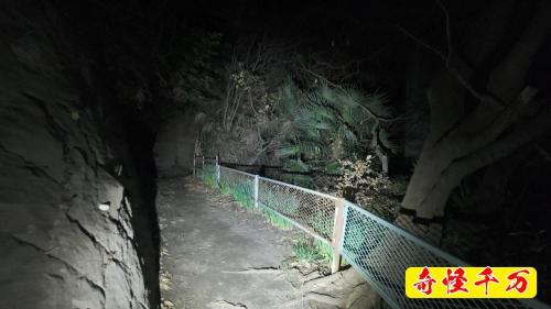 深沢防空壕の写真