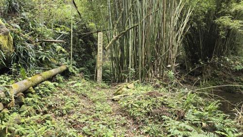 木ノ下川の写真