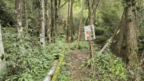 木ノ下川の写真