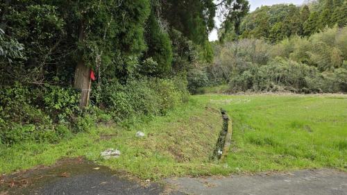 木ノ下川の写真