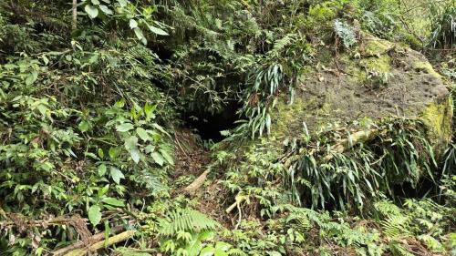 木ノ下川の写真