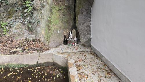 木ノ下川の写真