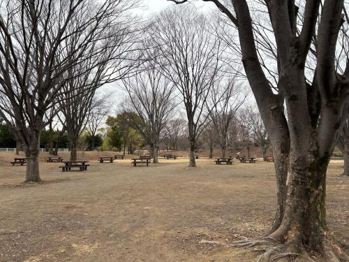 別府沼公園の写真