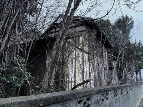 上根の幽霊屋敷の写真