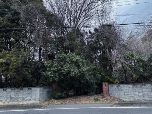 上根の幽霊屋敷の写真