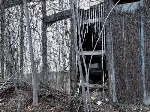 上根の幽霊屋敷の写真