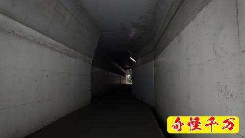 市ケ尾町鶴見川沿いのトンネルの写真