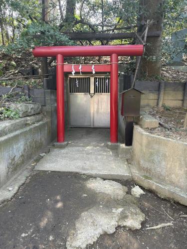 三宝寺池（石神井公園）の写真