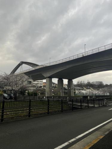 みなみ野大橋の画像 02