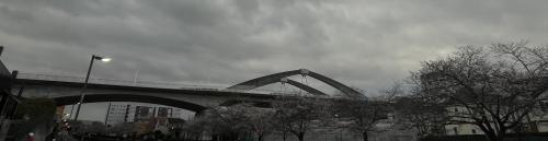 みなみ野大橋の写真