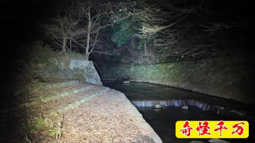 まさかりが淵市民の森の写真