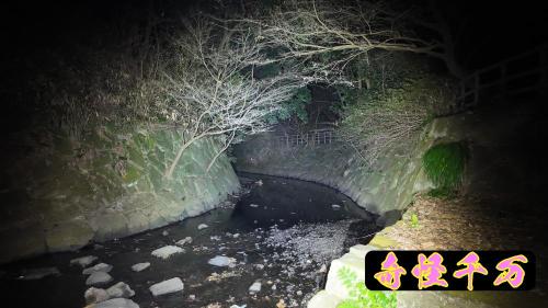 まさかりが淵市民の森の写真