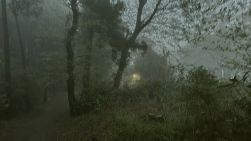 坂田山(羽白山)の写真