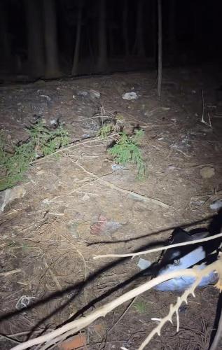 豊英ダムの写真