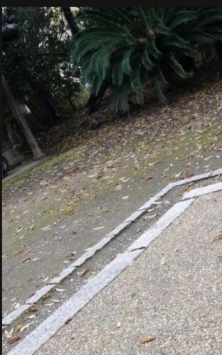 安祥城址公園の画像 02