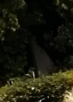 安祥城址公園の画像 01