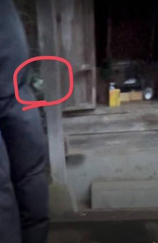 七里殺人の森の写真