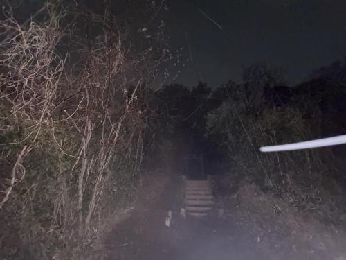 七里殺人の森の写真