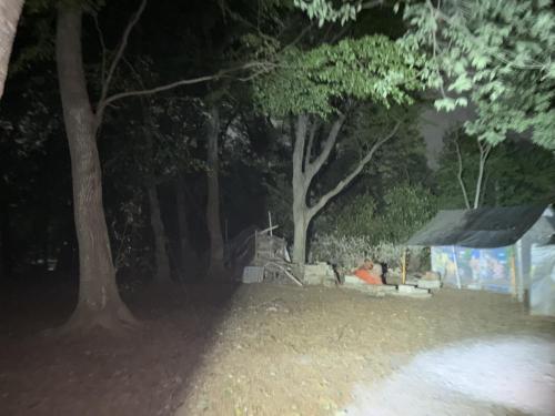 七里殺人の森の写真