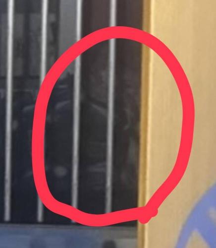 ホテル・アイランドの写真