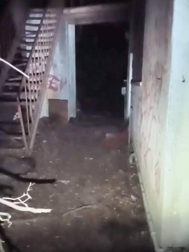 ダイアナ研究所の写真