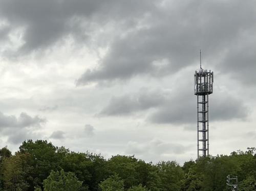 末野の林の写真