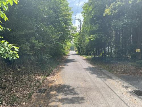 末野の林の写真