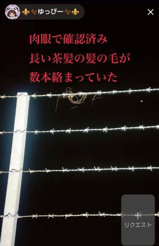 明見大橋の写真