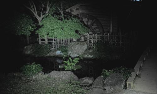 中沢池公園の写真