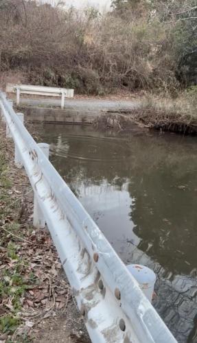 カッパ池の写真