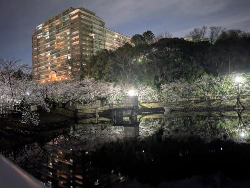 大蓮公園の写真