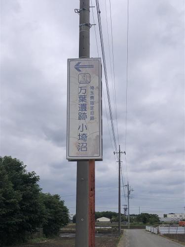 小埼沼の写真
