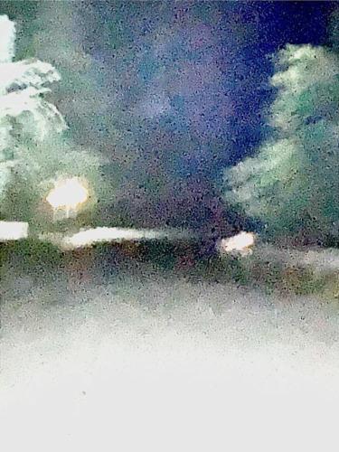 神之川キャンプ場の写真
