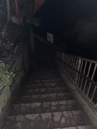 等々力渓谷の写真